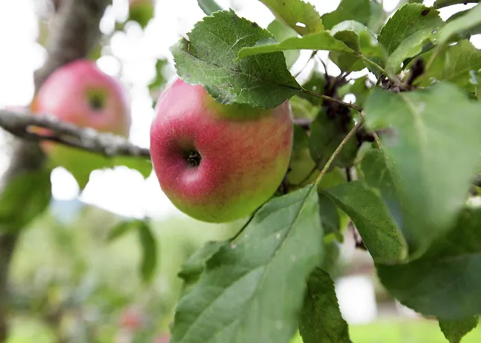 Appartamento Beautiful In Zillertal