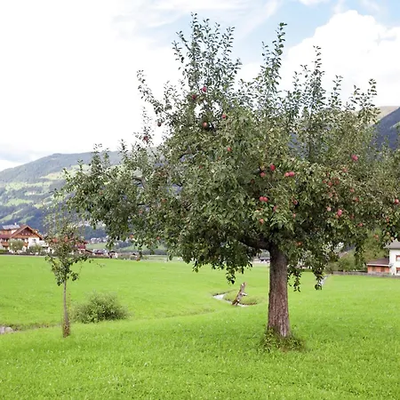 Apartmán Beautiful In Zillertal