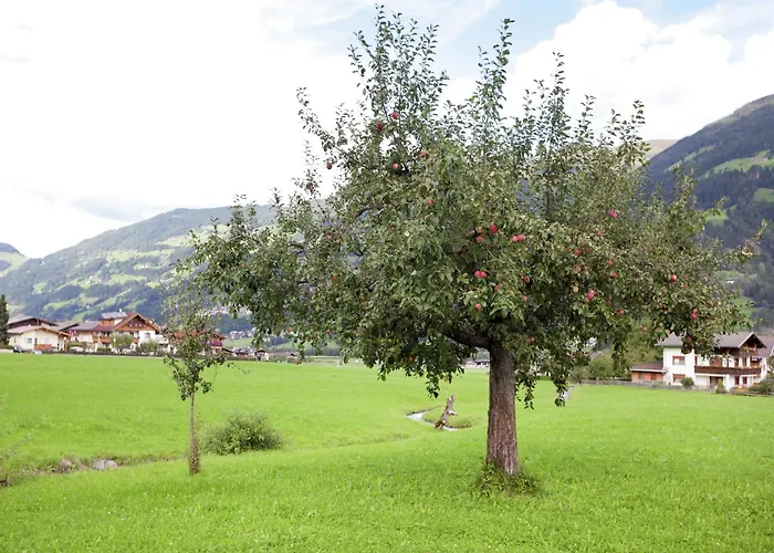 Lägenhet Beautiful In Zillertal